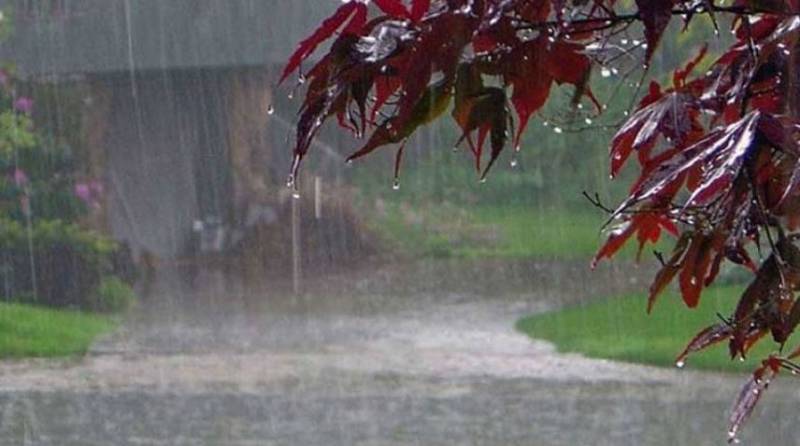 Rain with wind, thundershower expected in most parts of country
