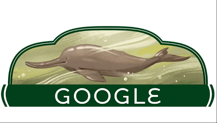  Google honours Pakistan's Indus River dolphin in Independence Day doodle