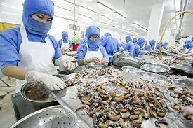Pakistan’s seafood exports have massive growth potential