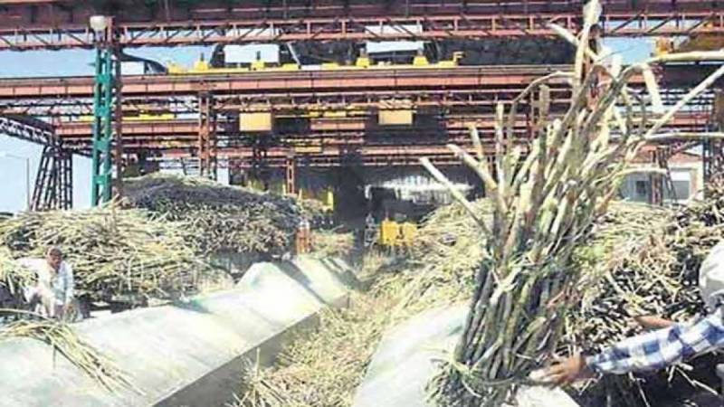 Punjab to begin sugarcane crushing season from October 28