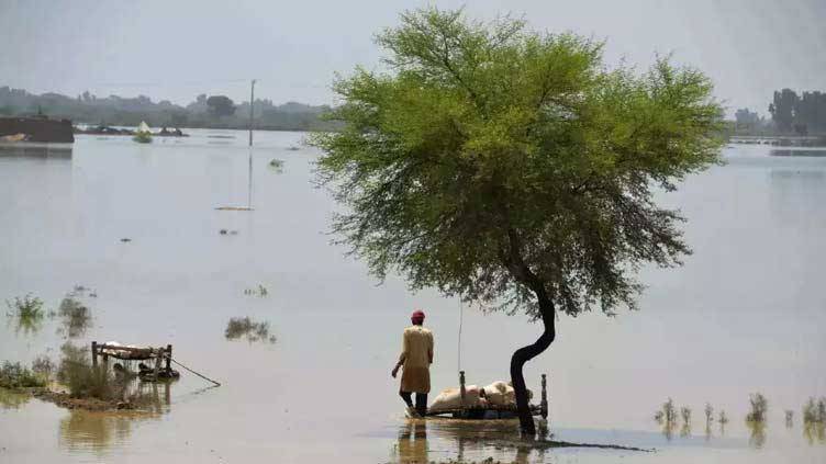 EU releases 1mn euros for Pakistan flood victims
