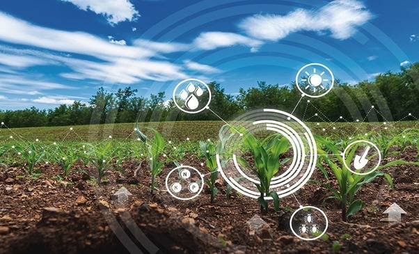 AI poised to revolutionize agriculture in Pakistan