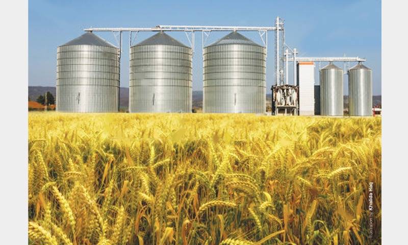 Pakistan’s agricultural storage capacity expands substantially in FY23