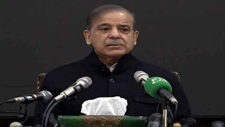 Shehbaz asks who brought TTP back to Pakistan, tells PTI independents to form govt if they can