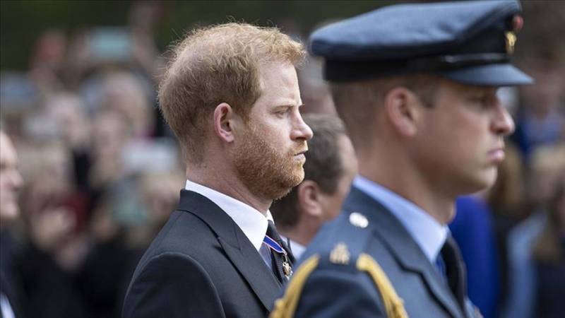 Prince Harry in ‘permanent state of paranoia' about Royal Family's plans