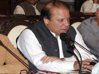Strong political parties can stable democratic system: Nawaz