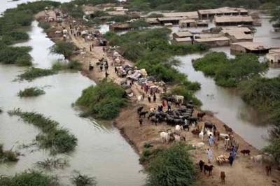  Dozens of villages swept away in Sindh floods