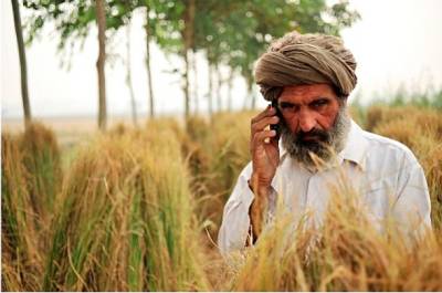 Punjab govt to provide smartphones to 5m small farmers