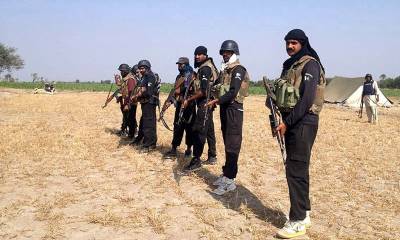 Rangers arrest 25 suspected militants in Rajanpur operation 