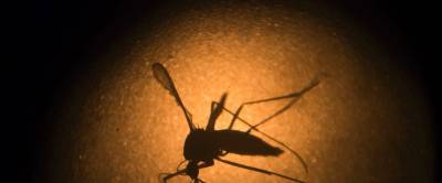 India reports its first 3 cases of Zika virus