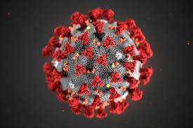 India daily coronavirus cases run at nearly half September peak