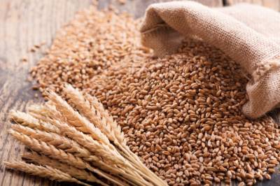 Shortage of 1M tons of wheat In Punjab