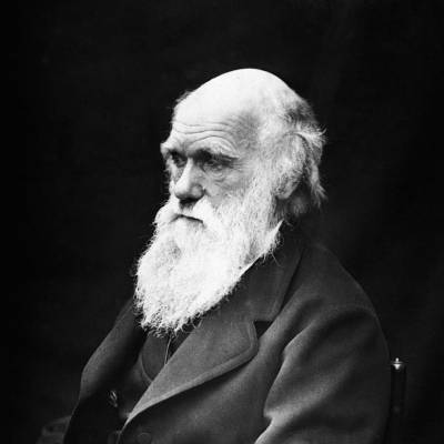 Charles Darwin 'stole' his theory of evolution from fellow naturalist, new book claims