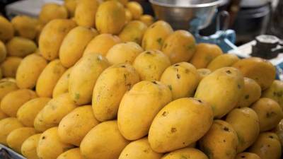 Climate change hits mango growers hard