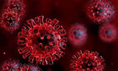 Pakistan reports 382 coronavirus cases, 2 deaths in 24 hours