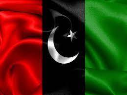 PPP files petition to become party in Punjab CM election case