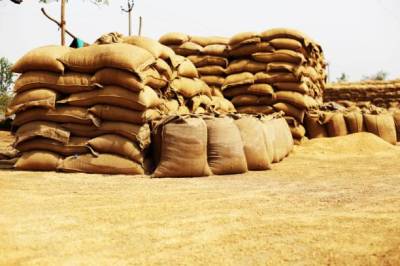 Thousands of wheat bags damaged in rain: Jaffarabad