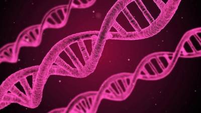 World’s first preventive DNA screening for cancer, heart disease risk launched