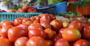 21 trucks laden with Iranian tomatoes reach Taftan