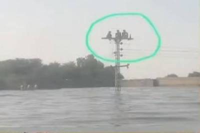 Three kids climb electricity pylon to escape flood
