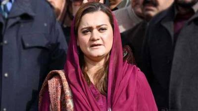 'Political orphans' want to create instability in country: Marriyum Aurangzeb