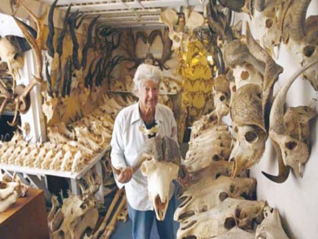 US man collects 7,000 animal skulls and bones