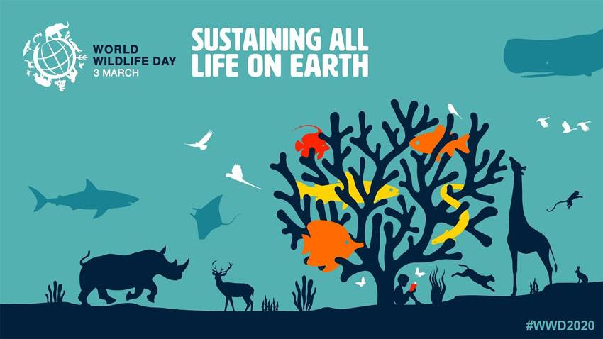 World Wildlife Day being observed today to sustain all life on Earth