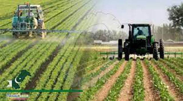 nation.com.pk - Agencies - Comprehensive reform plan needed to turn agriculture sector around