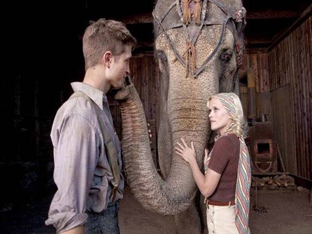 Elephant abused in Witherspoon film