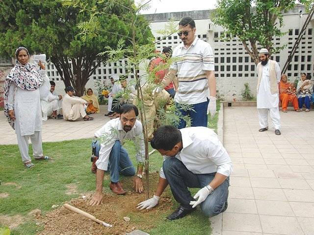 Ufone plants trees in Policlinic