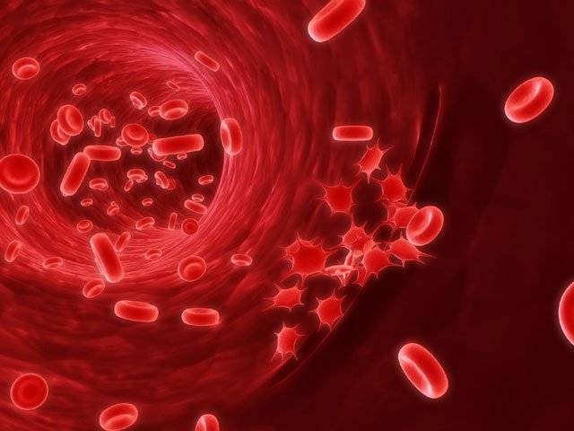 Cancer blood cell level linked to survival: study