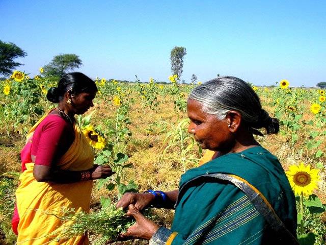 Indias war on farmers
