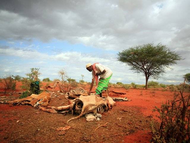 East Africa: because of the drought