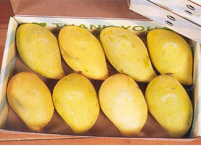 Pak mangoes to sweeten US ties