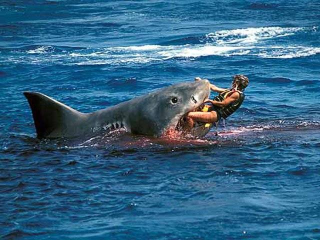 Shark attack kills South African surfer