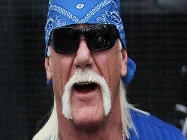 Hogan turned down The Wrestler role 