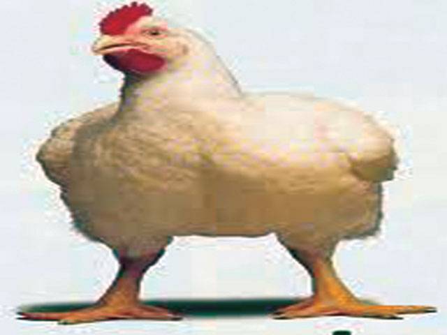 Poultry traders demand separate market