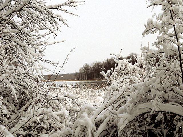 Canada’s winter so tame, festival buys fake snow 