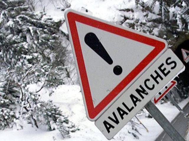 Four dead in two US avalanches