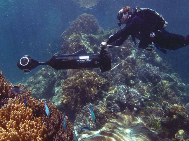 Barrier Reef to get Google treatment