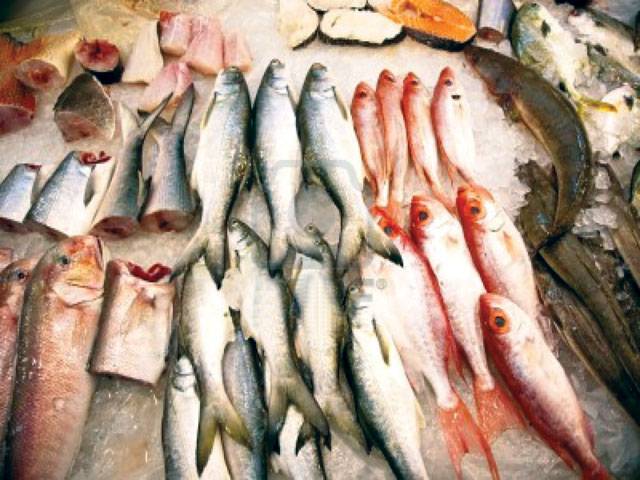 Strong lobby opposing Pakistan fish exports to EU