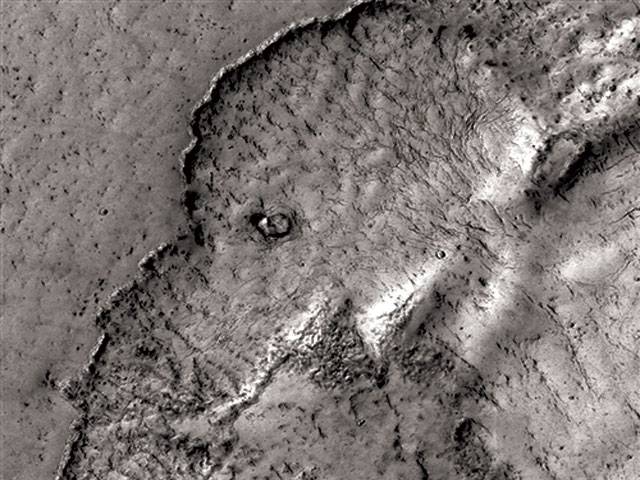 See the elephant face on Mars