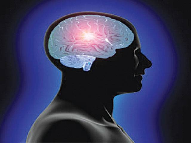 Scientists will build ‘human brain’