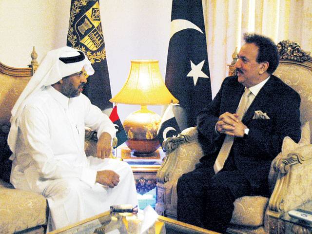 Saudi envoy, Malik discuss issues
