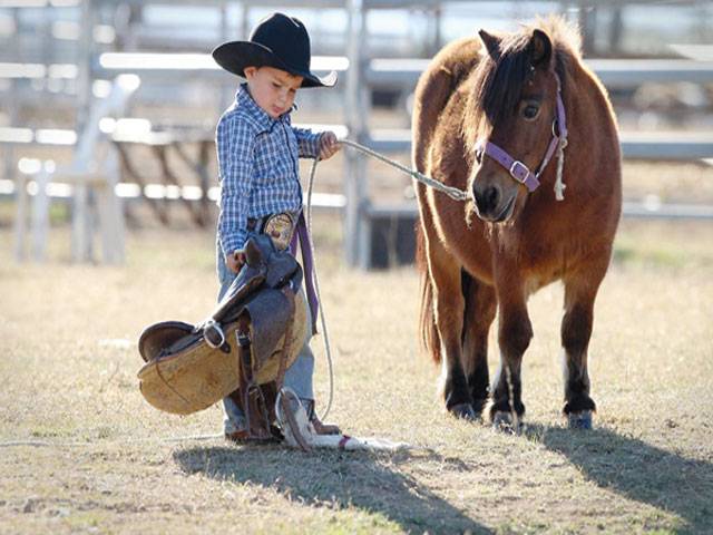 Pint-sized rodeo rider