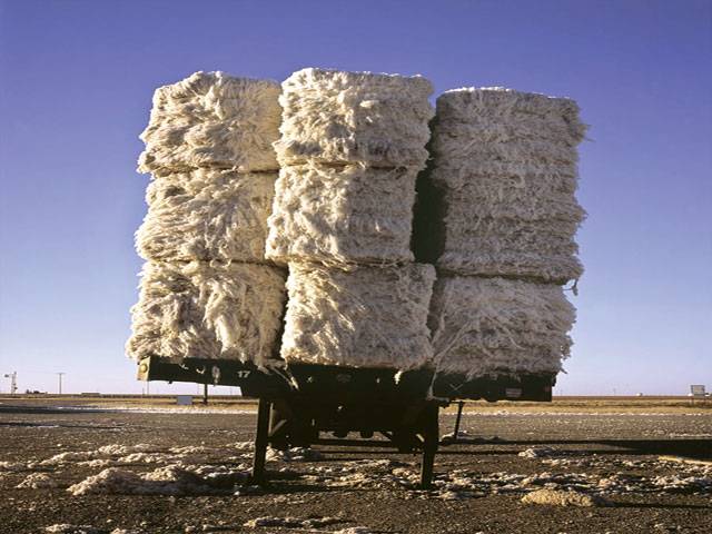 Ginners to set up cotton export cell