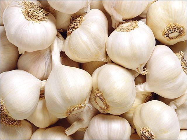 9.5 tons of garlic stolen