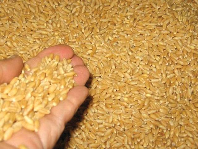 Wheat rate increased in Faisalabad
