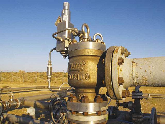 Pakistan Petroleum targets 30pc of oil blocks in auction