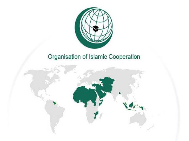  OIC warns of turmoil over French cartoons